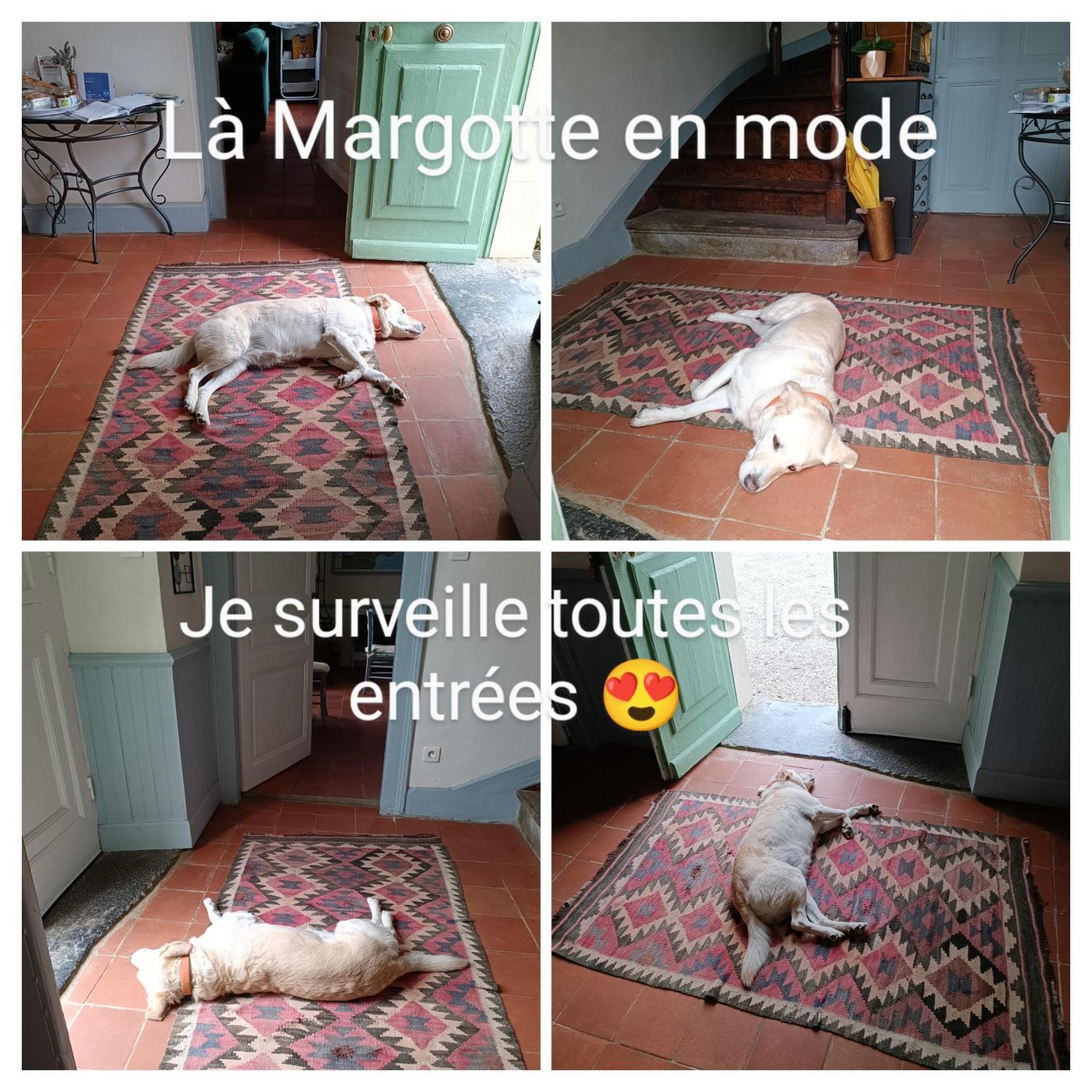 Bed and Breakfast Baladous Montgaillard-de-Salies Экстерьер фото